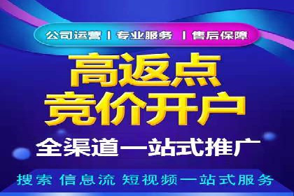 百度推广代理商服务优势案例分析